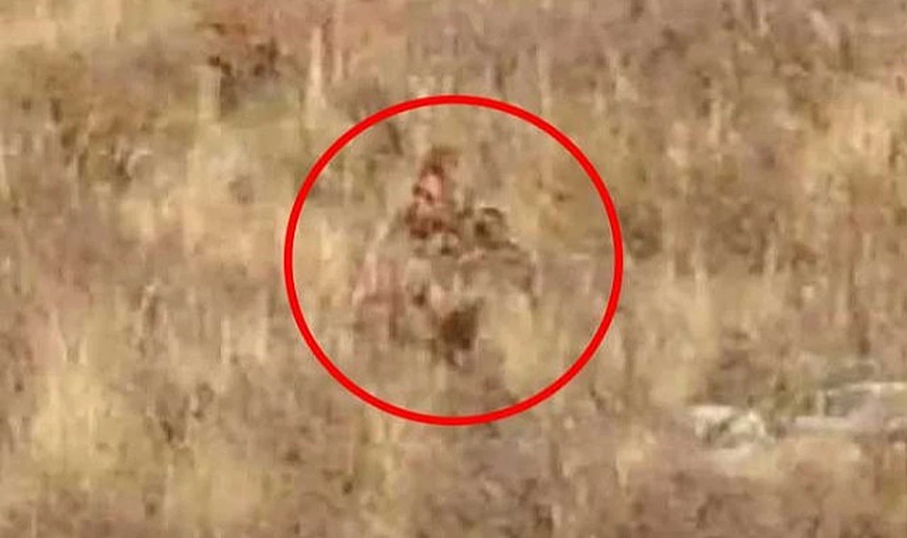 Efsanevi 'Kocaayak' gerçekten var mı? Colorado'da kaydedilen görüntüler tartışmaları beraberinde getirdi!