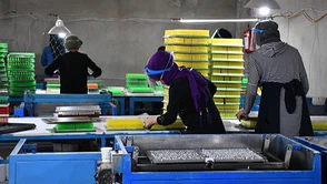 40 meslekte daha Mesleki Yeterlilik Belgesi zorunlu oldu. Belgesi olmayan çalışamayacak