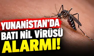 Yunanistan’da Batı Nil virüsü vakalarının sayısı artıyor
