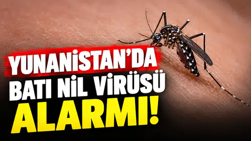 Yunanistan’da Batı Nil virüsü vakalarının sayısı artıyor