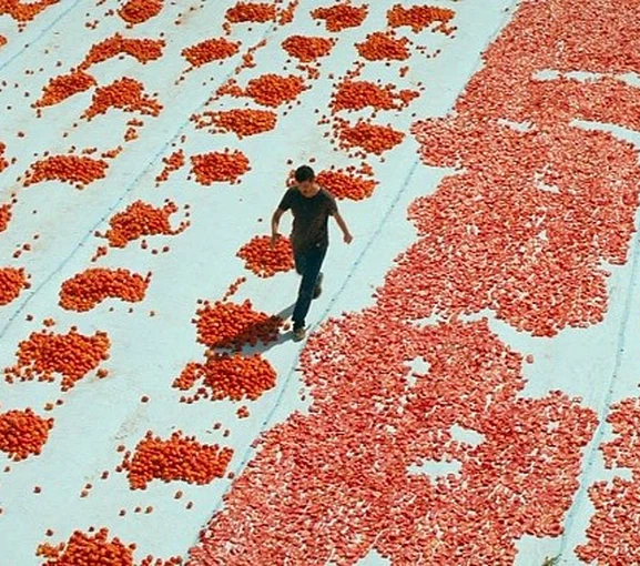 Türkiye'nin Oscar adayı filmi belli oldu