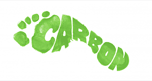 Çevresel günahımız | Karbon ayak izi nedir, neler yapılabilir?