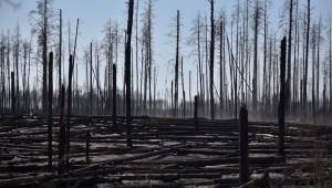 Çernobil'de 10 Gündür Süren Yangın Söndürüldü