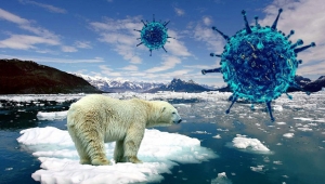 Koronavirüs iklim değişikliğini durdurdu mu ?