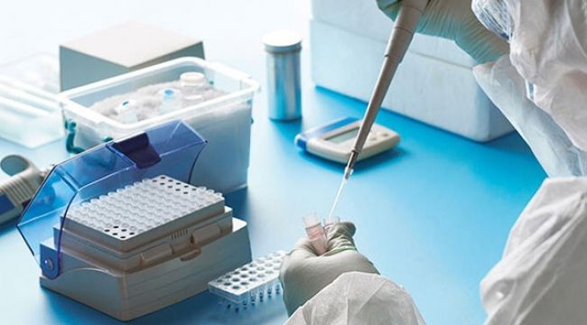 Diğer koronavirüs türleri Kovid-19'a bağışıklık sağlıyor