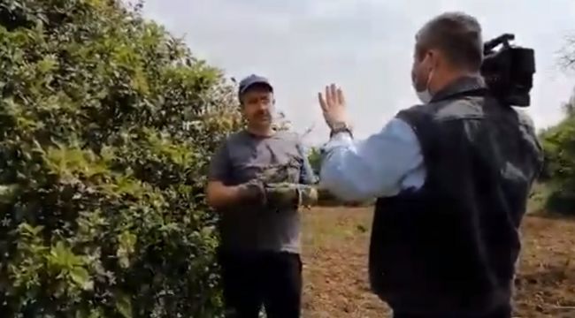 İmamoğlu'na limon kumpası!
