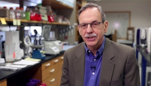 Koronavirüsten servet kazandı