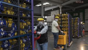 Mersin limonu için Ankara da harekete geçti