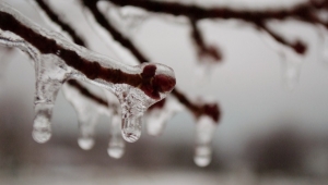 Meteorolojiden don uyarısı