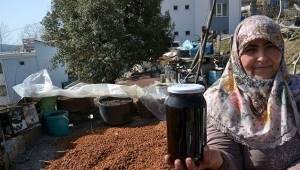 Toros Dağları'nın Andız Kozalakları, Lezzete Dönüştürülüyor