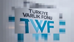 Varlık Fonu, sigorta şirketlerini bünyesine kattı