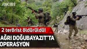 Ağrı'da iki terörist etkisiz hale getirildi