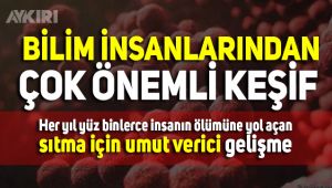  Bilim insanlarından çok önemli keşif 