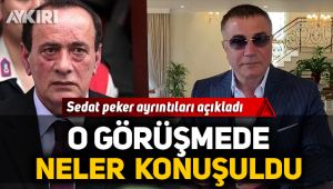 Alaattin Çakıcı ve Sedat Peker görüşmesinde neler konuşuldu?