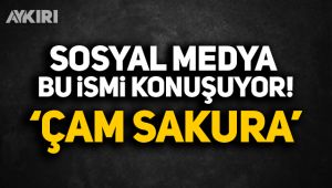 Çam Sakura nedir? Başakşehir Hastanesi'nin anlamı?