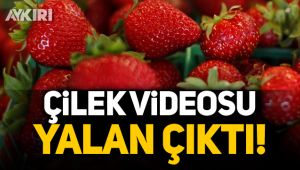 Çilek videosu yalan çıktı!
