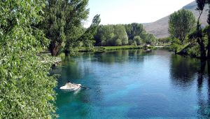 Doğal sit alanı olacaktı, bungalov ihalesi yapıldı
