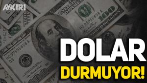 Dolar durmuyor!