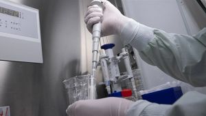 Dünya Sağlık Örgütü koronavirüsün kaynağını açıkladı