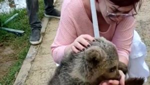 Emel Müftüoğlu'nu yavru ayı ısırdı