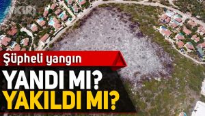 Kaş'ta yanan ormanlık alan kundaklandı mı?