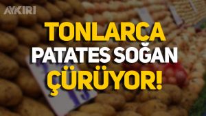 Tonlarca patates ve soğan çürüyor