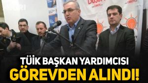 TÜİK Başkan Yardımcısı Yılmaz görevinden alındı
