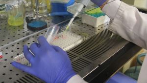 Türkiye'de görülen ilk koronavirüs vakasının kaynağı belli oldu!