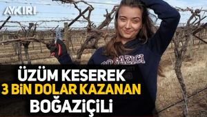 Üzüm keserek 3 bin dolar kazanan Boğaziçili