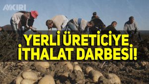 Yerli üreticiye ithalat darbesi