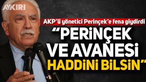 AK Partili yönetici Perinçek'e fena giydirdi!