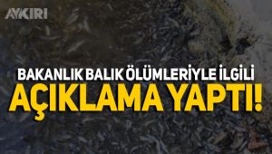 Bakanlık balık ölümleriyle ilgili açıklama yaptı