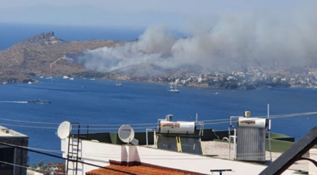 Bodrum'da yangın çıktı