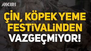 Çin, köpek katliamından vazgeçmiyor