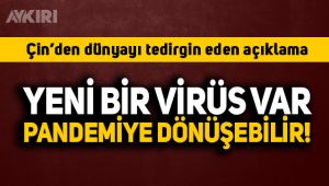 Çinli Bilim insanlarından 