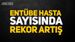 Entübe hasta sayısı son 1 ayın rekorunu kırdı
