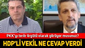 HDP'li Garo Paylan PKK sorusuna ne cevap verdi