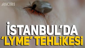 İstanbul'da 'LYME' tehlikesi