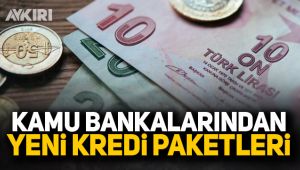 Kamu bankalarından yeni kredi paketleri