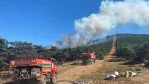 Kayışdağı'nda orman yangını