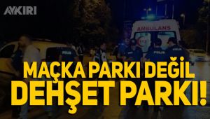 Maçka Parkı'nda 2 grup birbirine girdi
