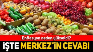 Merkez Bankası enflasyonun yükselmesini meyve sebze fiyatlarına bağladı