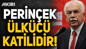 MHP'li Enginyurt'tan Perinçek'e ağır sözler!