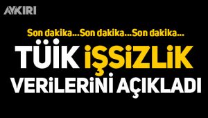 TÜİK işsizlik verilerini açıkladı