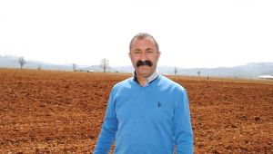 Tunceli Belediye Başkanı Maçoğlu koronavirüse yakalandı