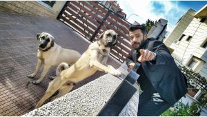 Ünlü oyuncuya köpek saldırdı, eli parçalandı! 