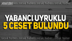Van Gölü'nde 5 yabancı uyruklu kişinin cesedine ulaşıldı