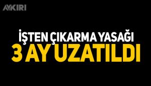 Yeni İstihdam Kalkanı paketinin detayları belli oldu