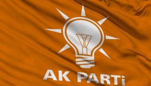 AK Parti il başkanı ağaçtan düştü