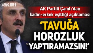 AK Partili Çamlı'dan skandal kadın-erkek eşitliği açıklaması